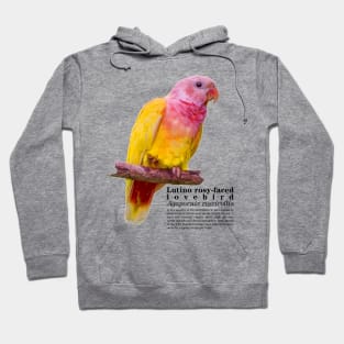 Lutino rosy-faced lovebird black text Hoodie